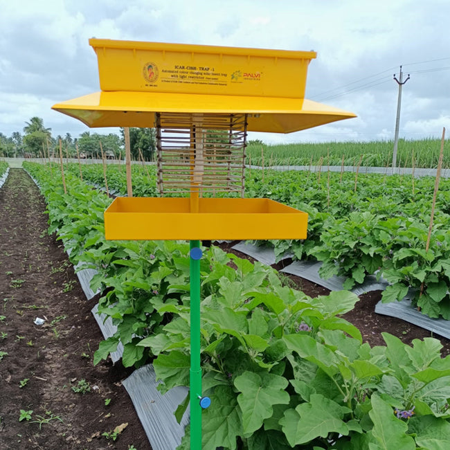 SOLAR INSECT LIGHT TRAP / SOLAR PEST TRAP