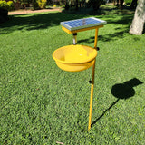 King Catcher Mini