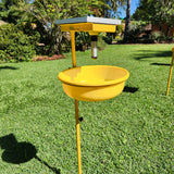 King Catcher Mini